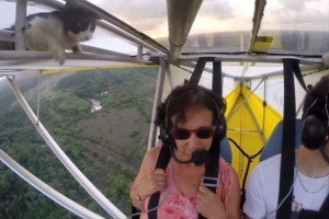 Кішка в небі або великому сюрпризі для пілота Кішка в небі або великому сюрпризі для пілота